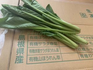 ©saradayoshiko島根県産の小松菜