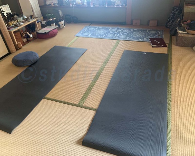 ©sarada yoshikoペアヨーガ