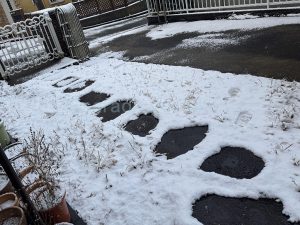 ©saradayoshiko２月の雪の日