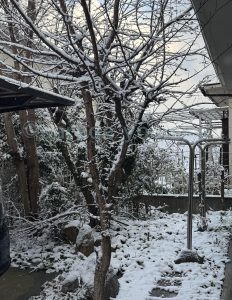 ©saradayoshiko㋁の雪の日